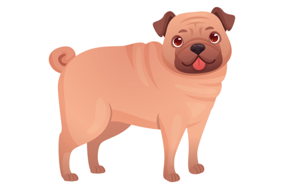 Cute Pug Standing. Little Dog. Adorable