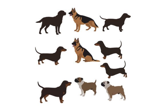 Dog Breeds Collection with Dachshund Ger: A Designer's Review