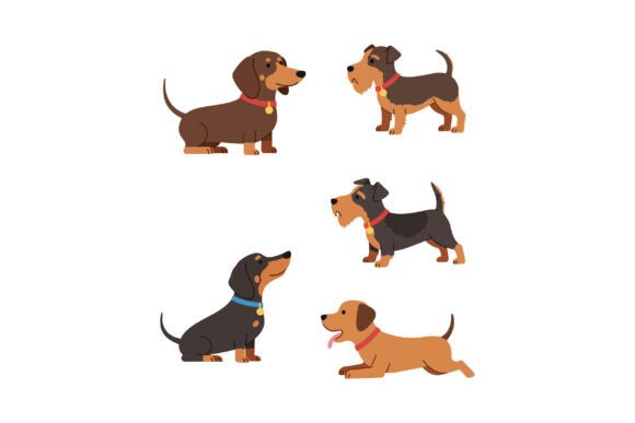 Five Small Dog Breeds Sitting and Standi